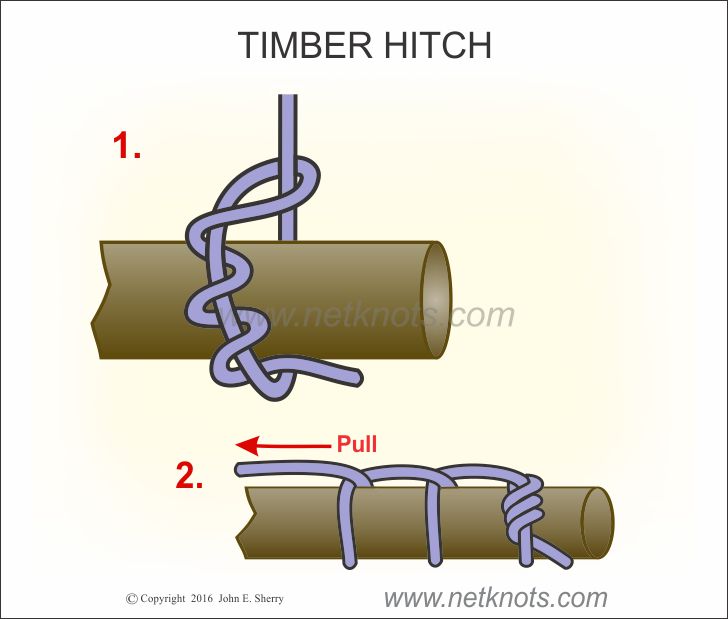 Basic Knots – SCOUTING 101